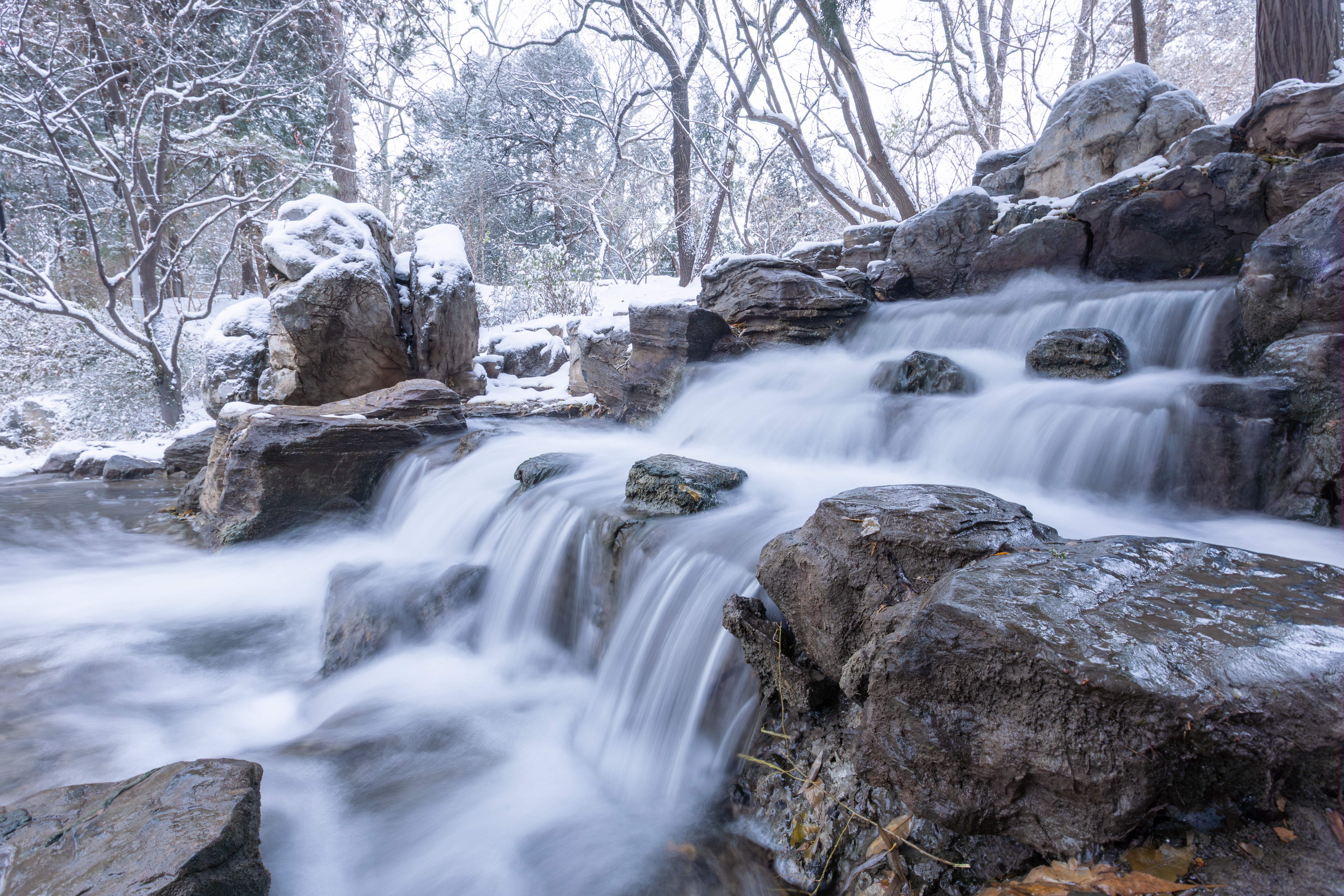 20231211-雪10-ued官网-供图.jpg