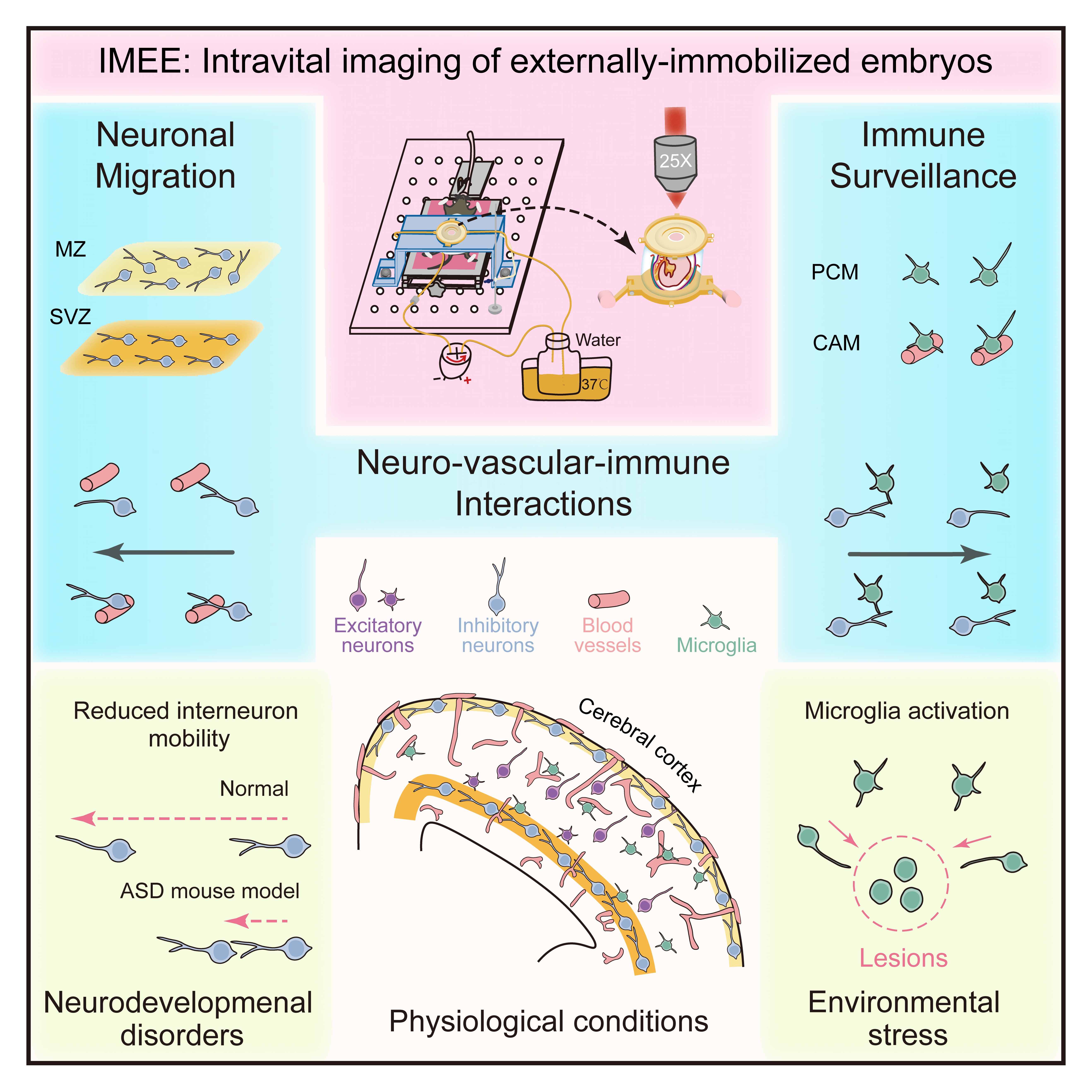 20251217-图7-科研-张三.jpg