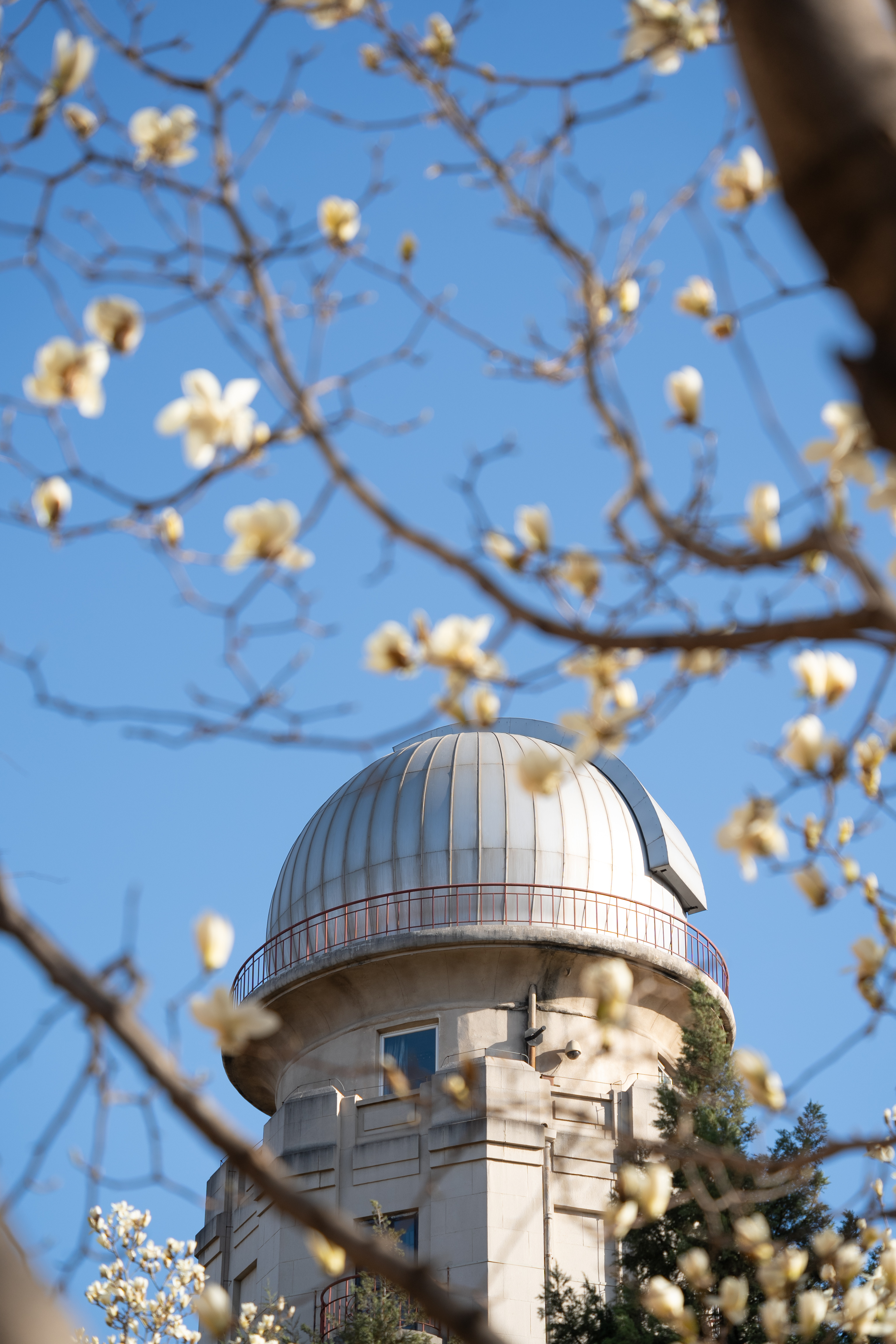 20240401-ued官网四月天-学生摄影-2.jpg