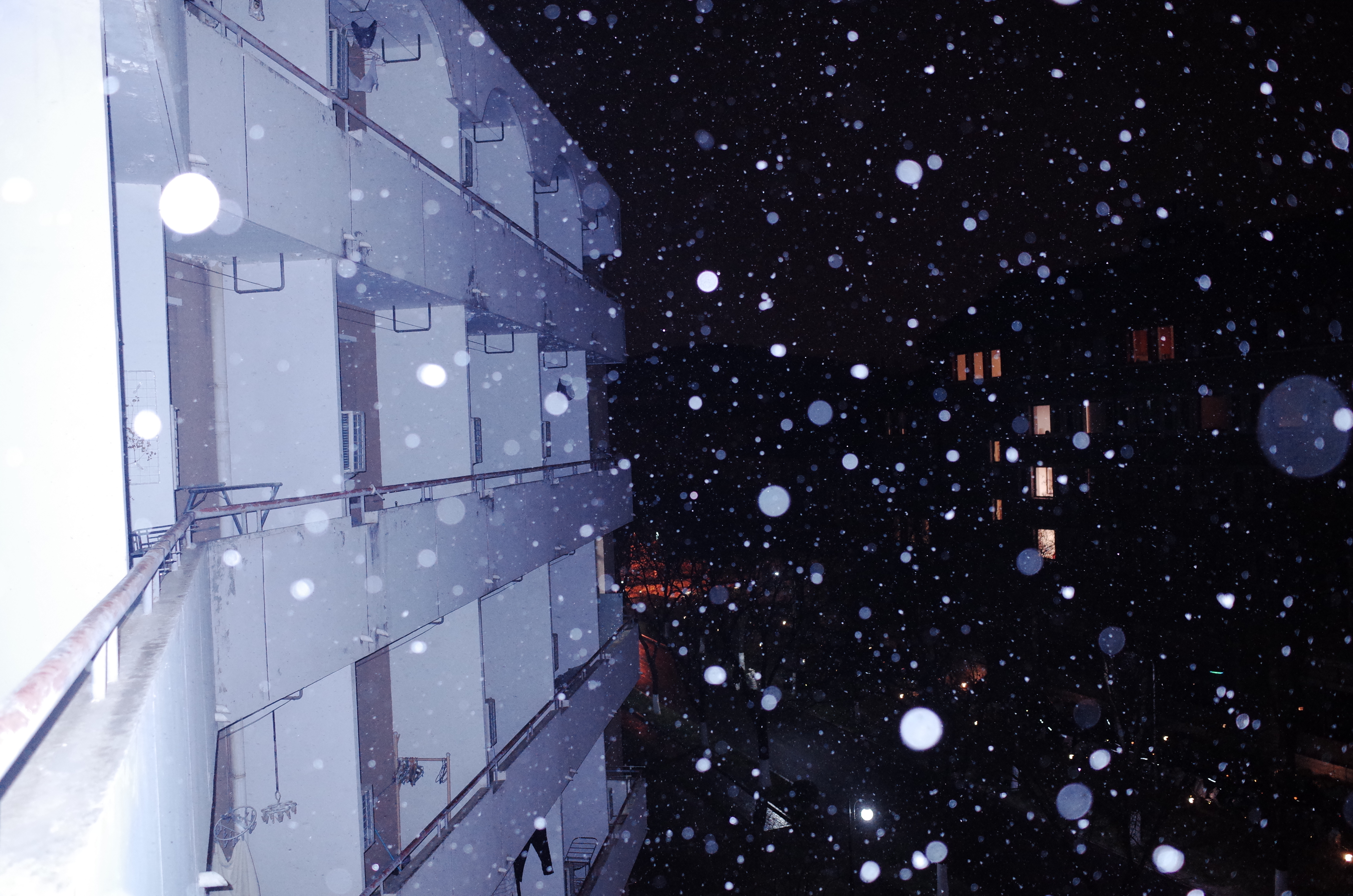 20231211-雪7-ued官网-供图.jpg