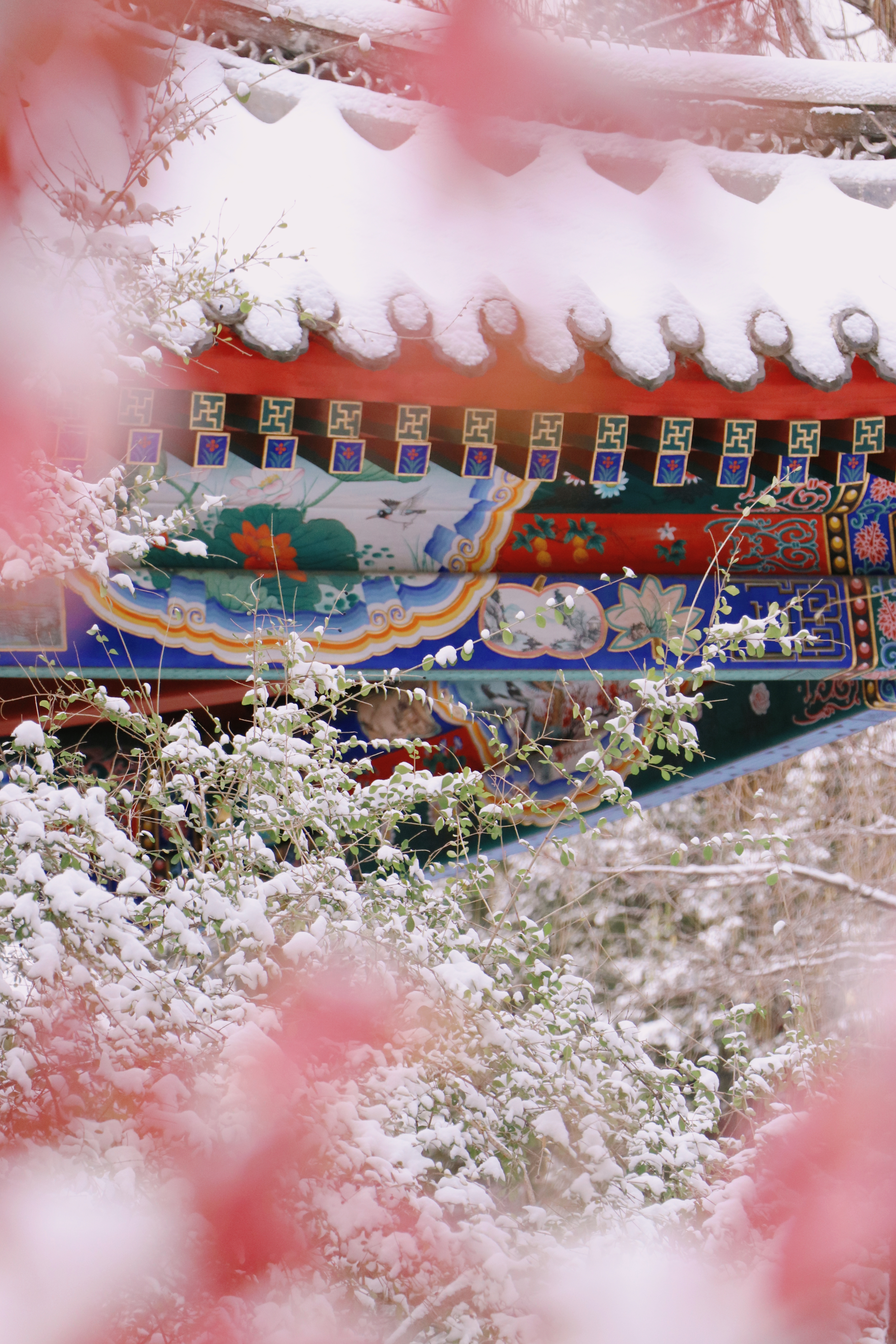 20231211-雪11-ued官网-供图.jpg