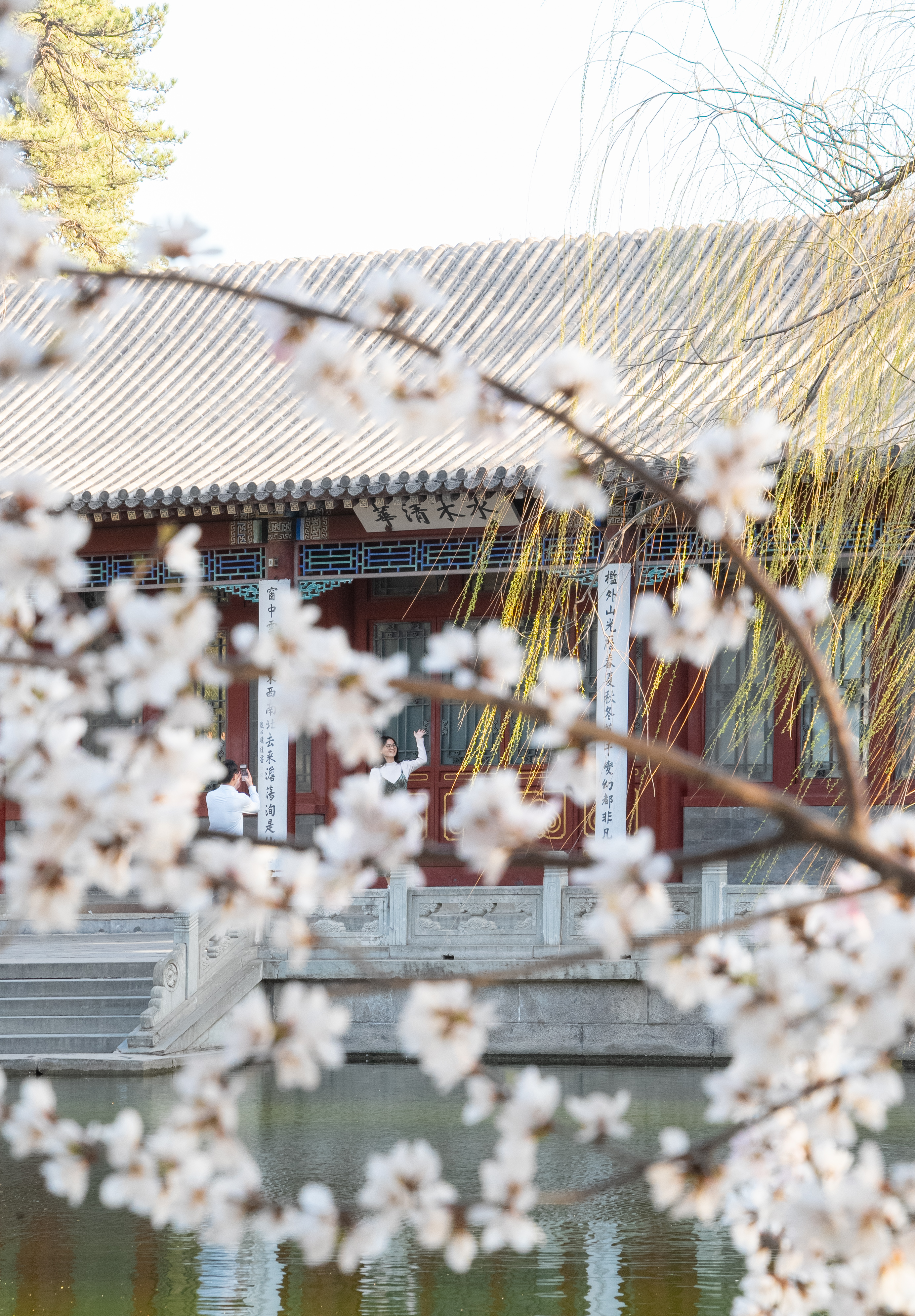 20240401-ued官网四月天-学生摄影-10.jpg