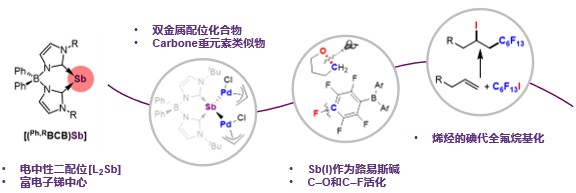 20260301-化学系张韶光研究组发展了“零价碳”化合物的中性一价锑类似物-化学系-1.jpg