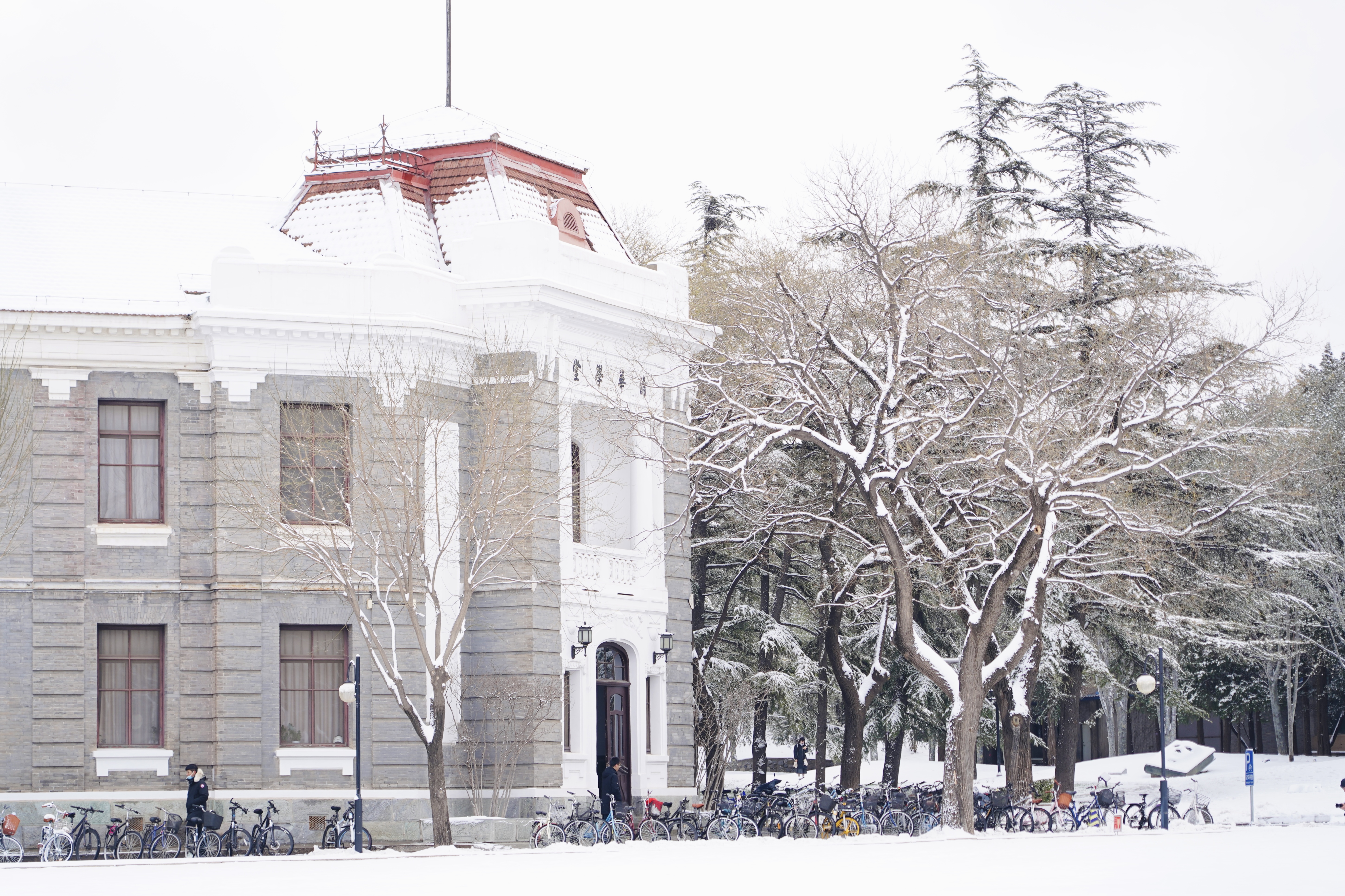 20231211-雪12-ued官网-供图.jpg
