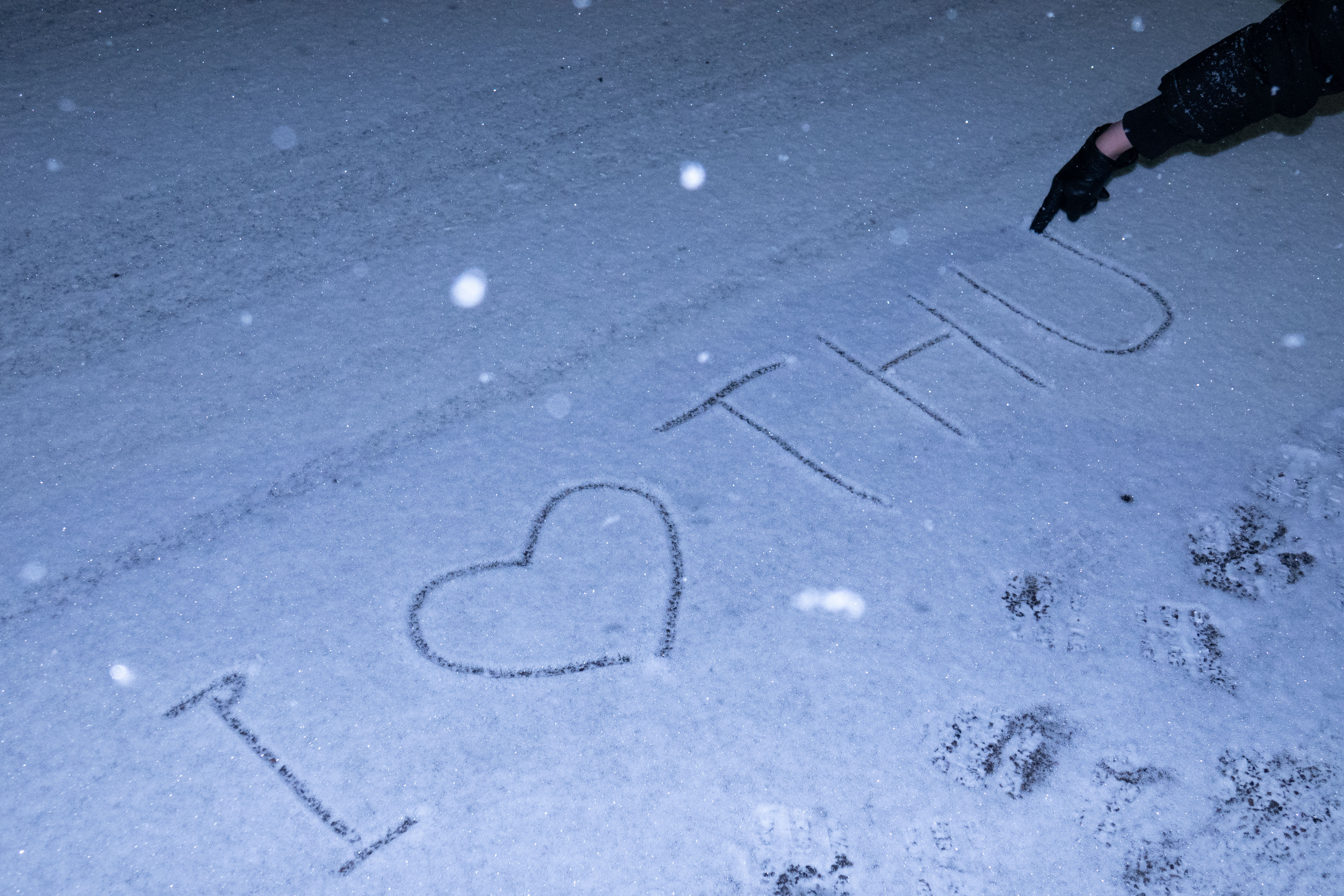 20231211-雪4-ued官网-供图.jpg