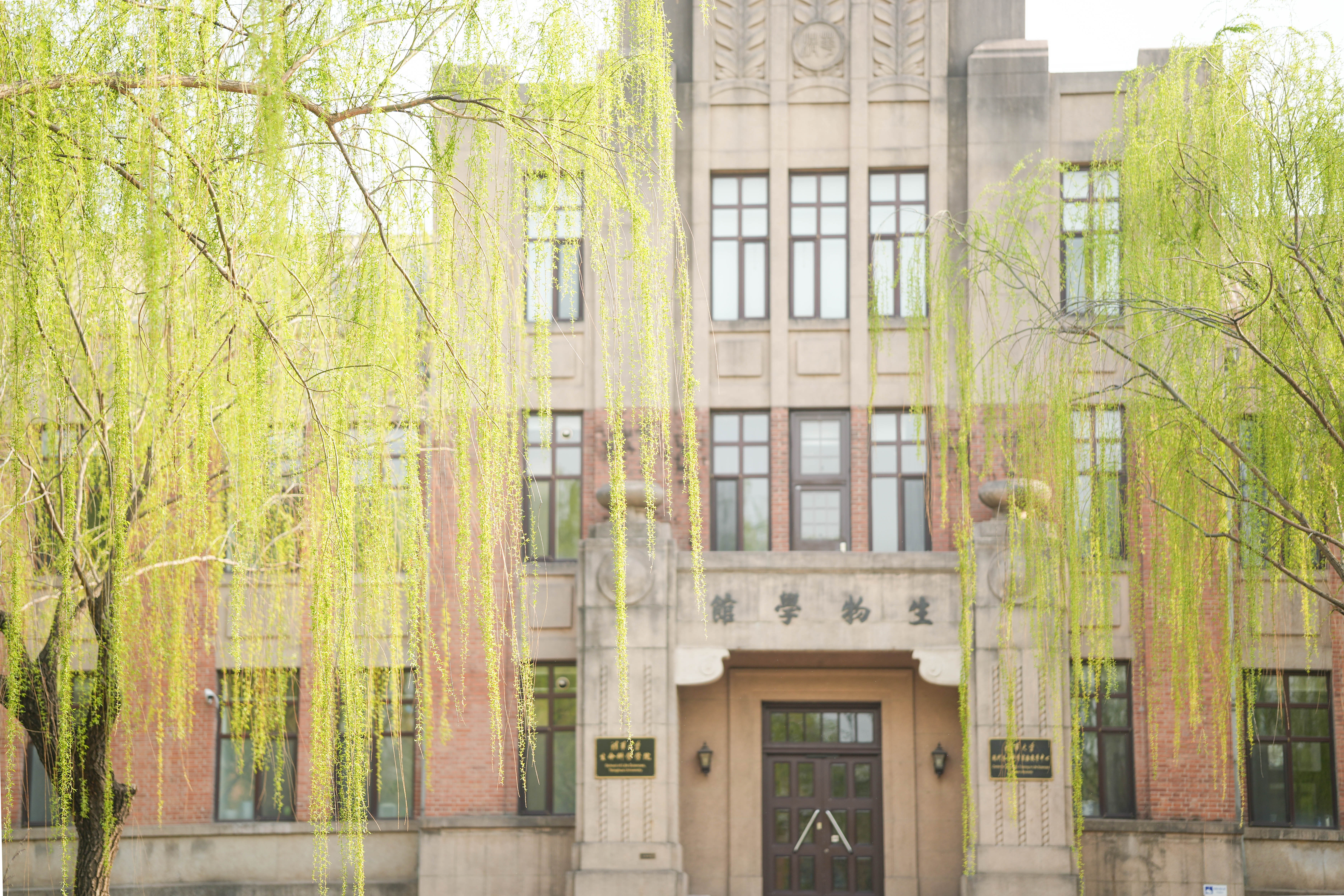 20240401-ued官网四月天-学生摄影-12.jpg