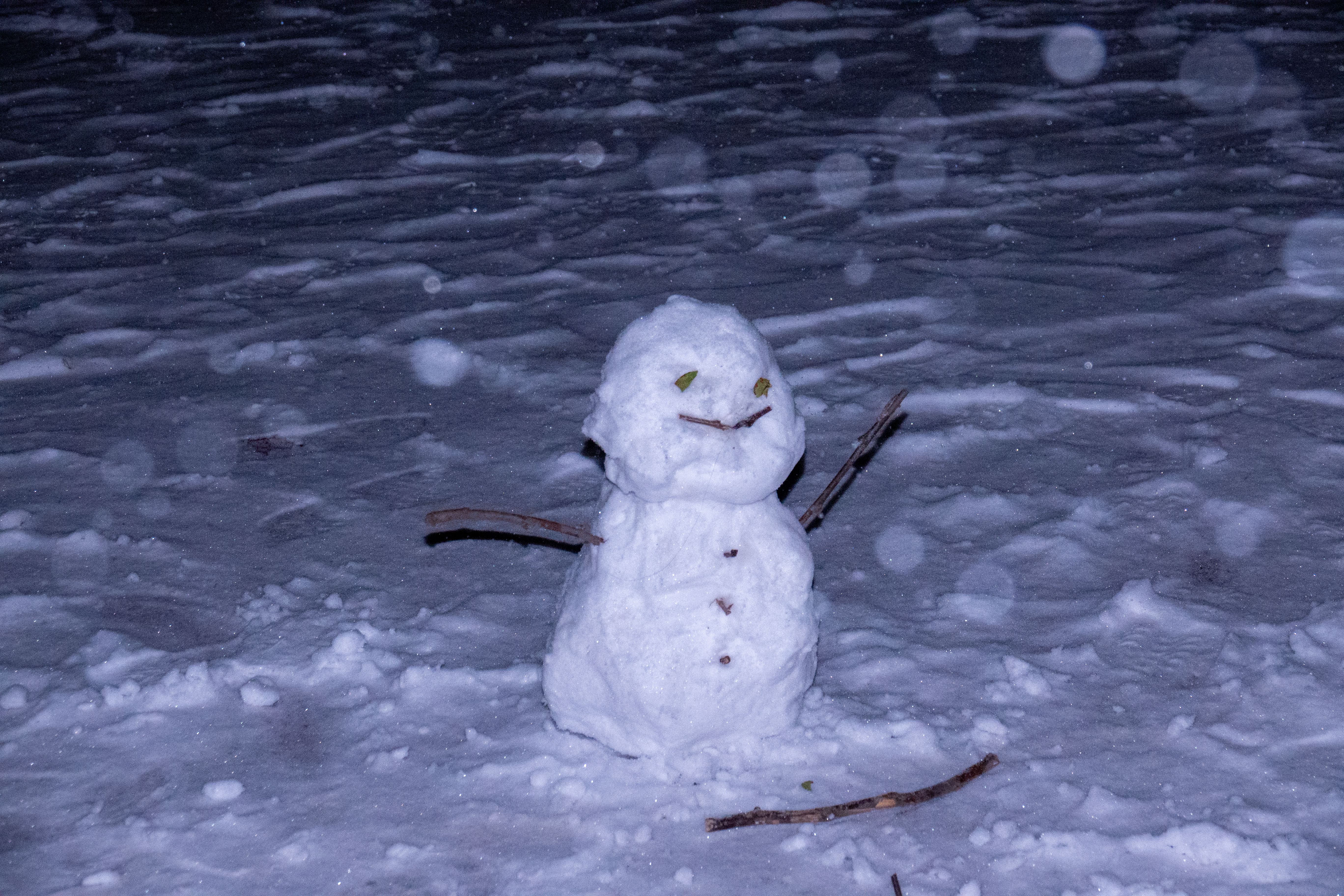 20231211-雪9-ued官网-供图.jpg