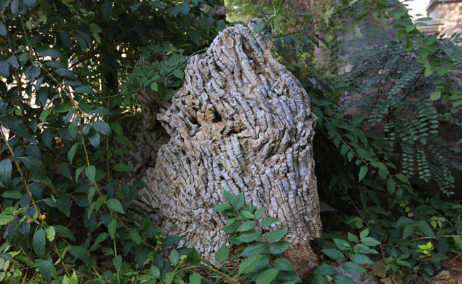 image010.jpg