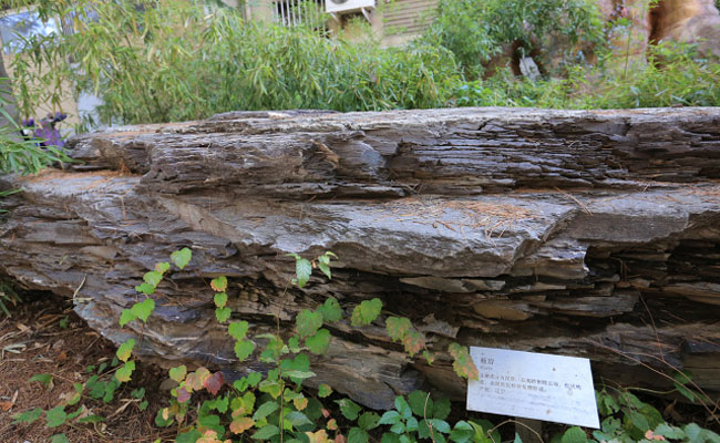 image012.jpg