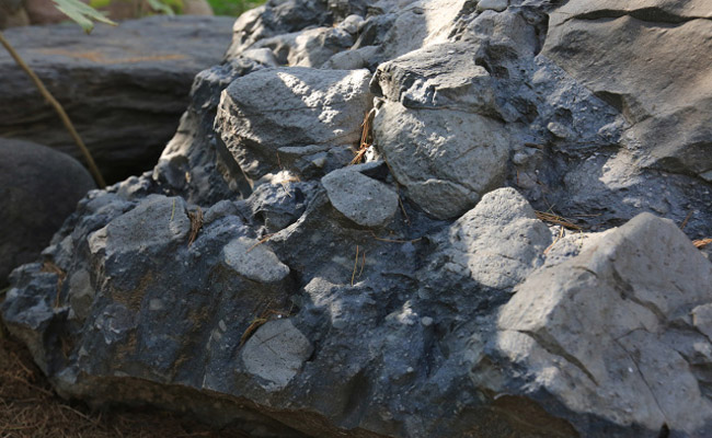 image019.jpg