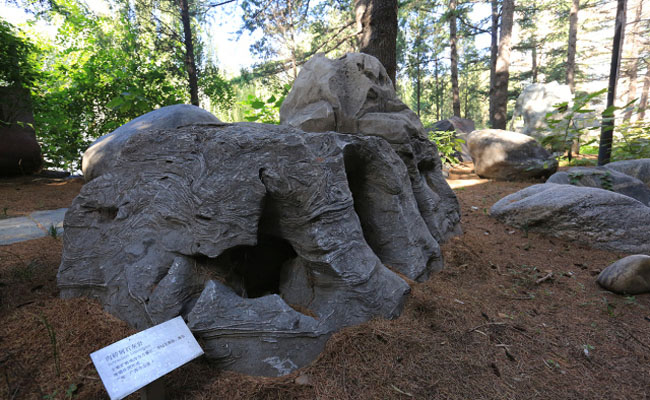 image020.jpg