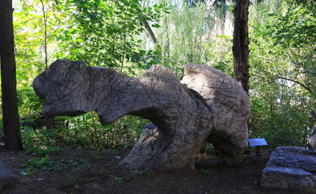 image021.jpg