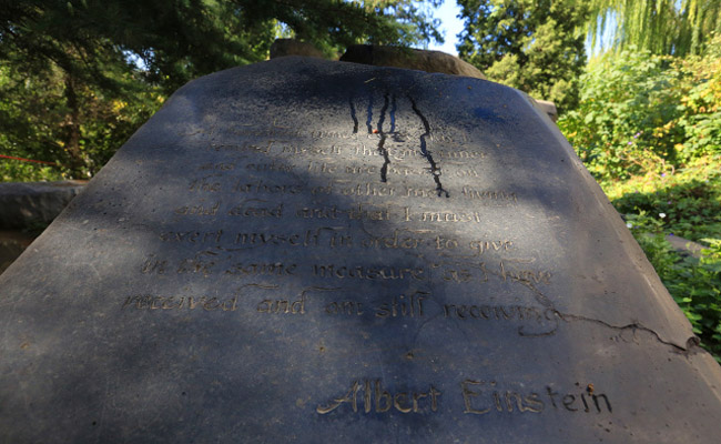 image025.jpg